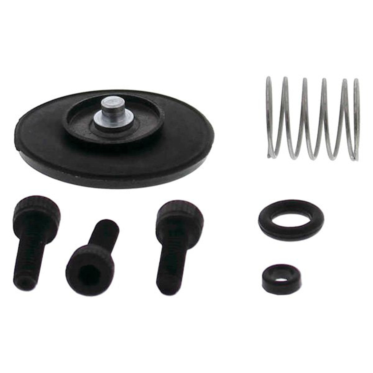 Accelerator Pump Rebuild Kits