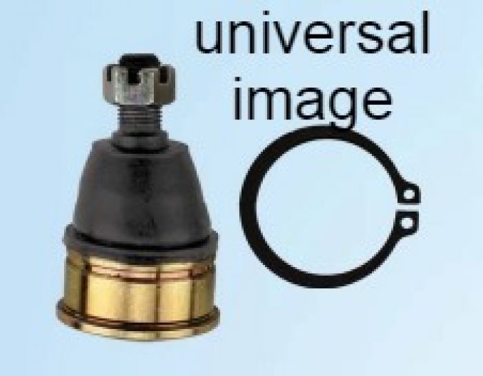 138658_1654266307.jpg