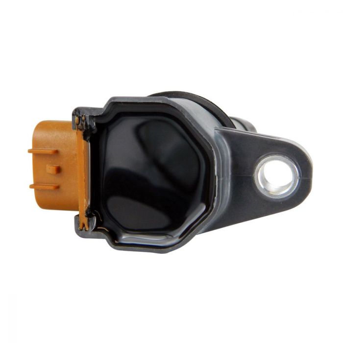 225168_1705068956.jpg