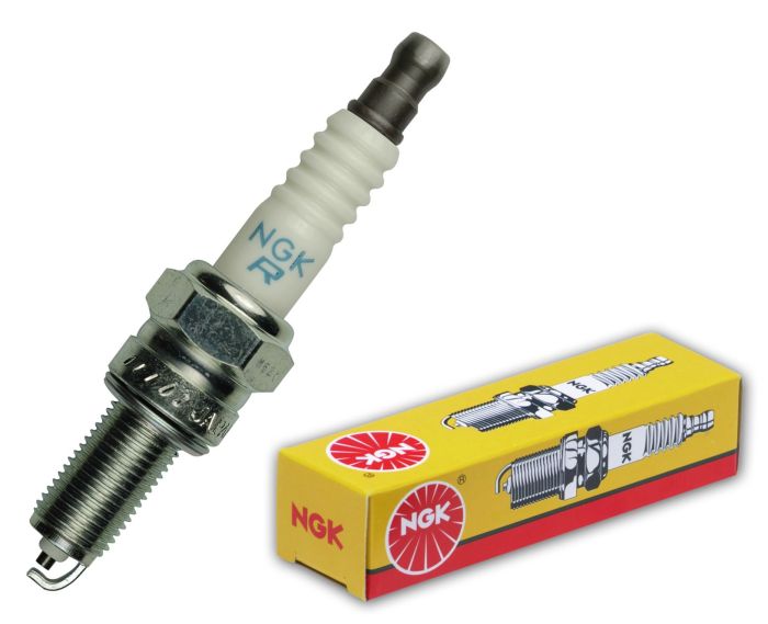 228161_1724162996.jpg