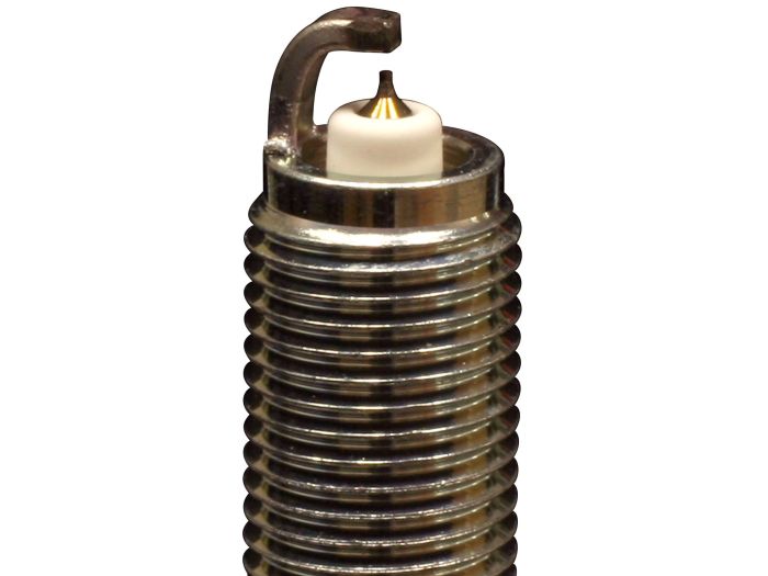 228225_1745591311.jpg