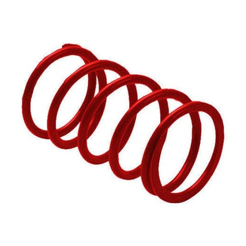 EPI Red Clutch Spring BCS24