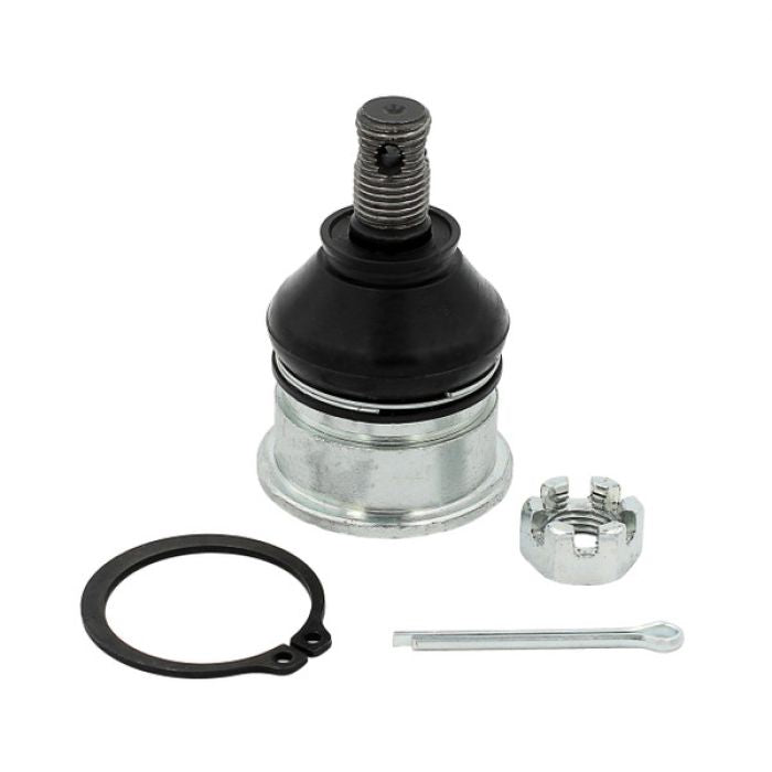 381991_1765908473.jpg