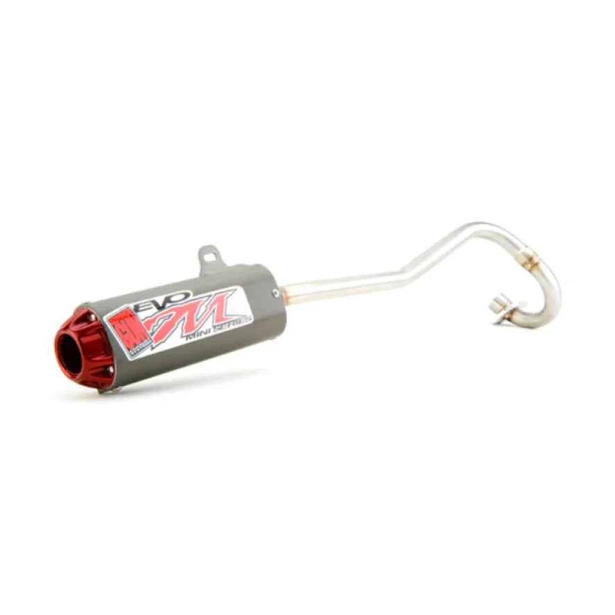 Big Gun 13-18 Honda CRF110F EVO M Full Exhaust