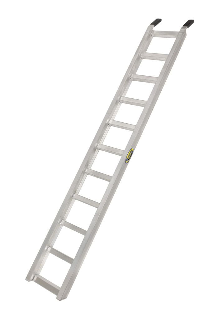 556112_1706642799.jpg