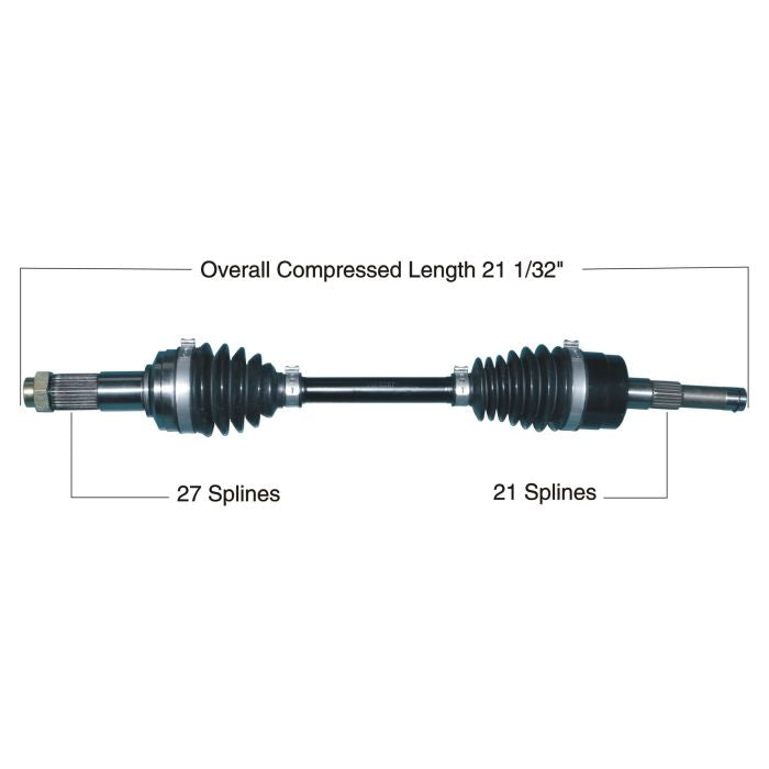 8130331_1684798773.jpg
