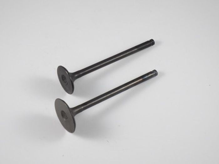 902521_1770131451.jpg
