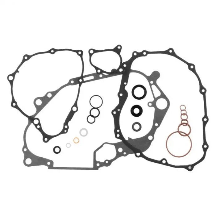 912491_1660310669.jpg