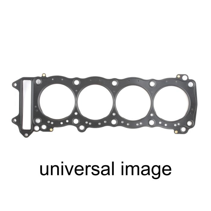 912648_1666011248.jpg