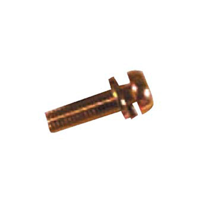 916110_1731340853.jpg
