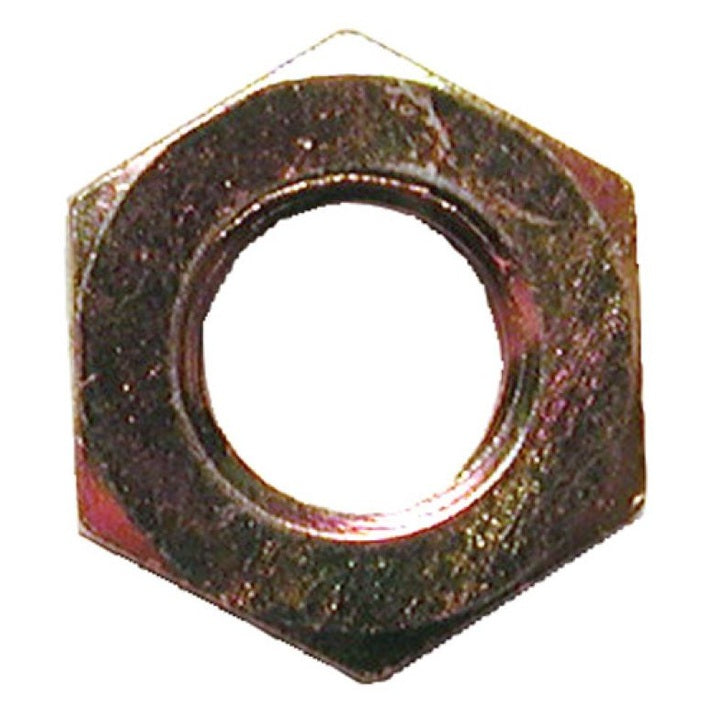 916457_1732559228.jpg