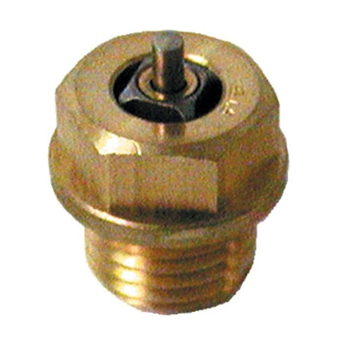 917540_1732291240.jpg