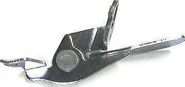917562_1732286782.jpg