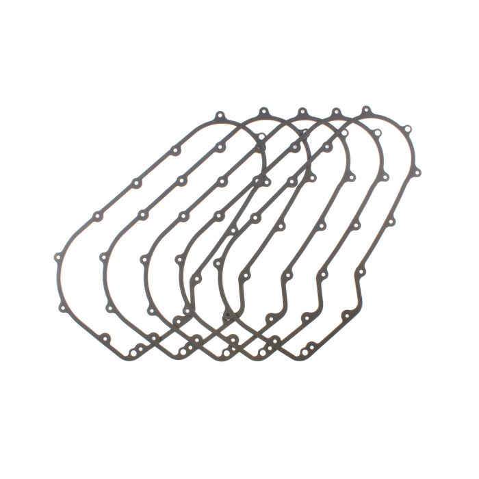 919341_1738779332.jpg