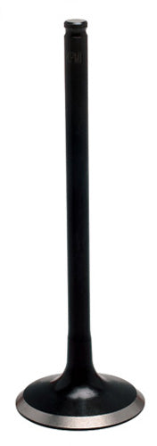 960044.jpg