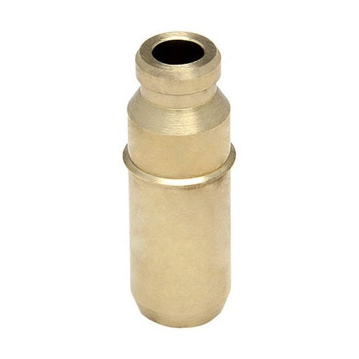 960062.jpg
