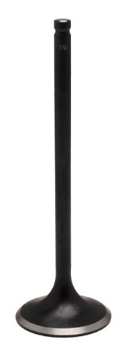 960072.jpg