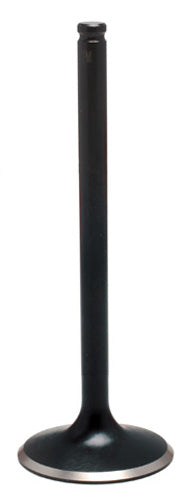 960089.jpg