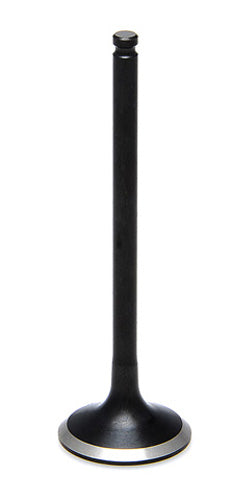 960177.jpg