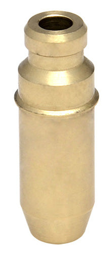 960180.jpg