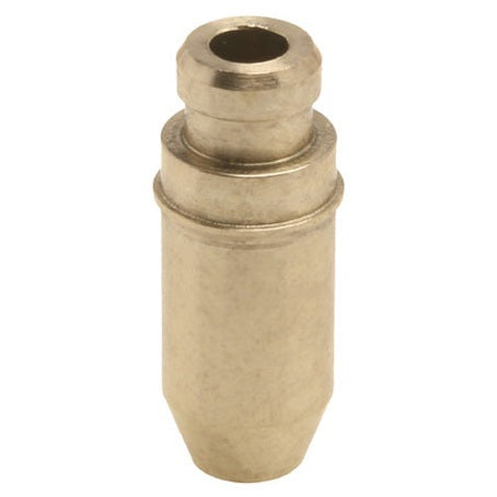 960185.jpg