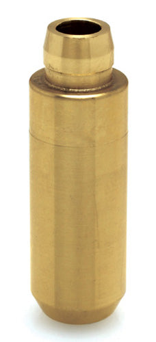 960237.jpg