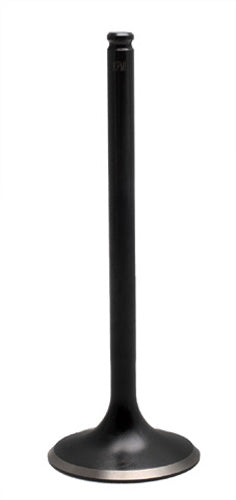 960241.jpg