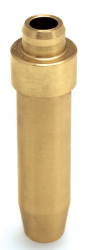 960263.jpg
