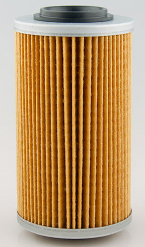 982072.jpg