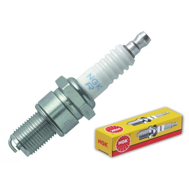 BR10ES_1723738934.jpg