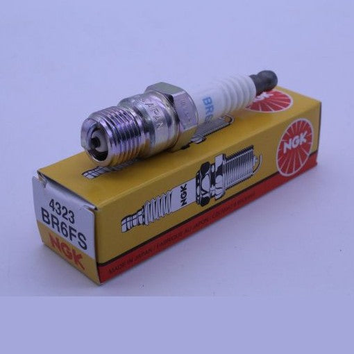 BR6FS_1697486516.JPG