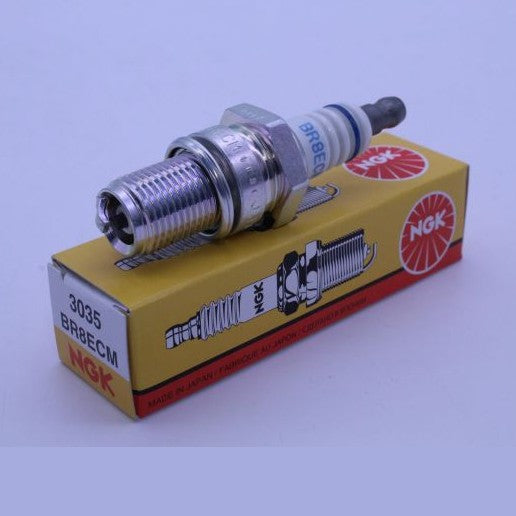 BR8ECM_1697486039.JPG