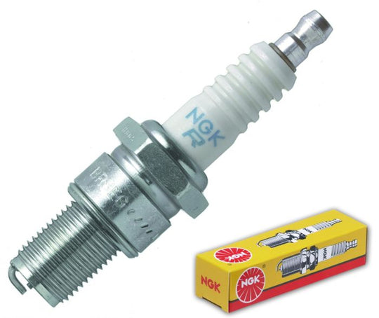 BR8EG_1723497690.jpg