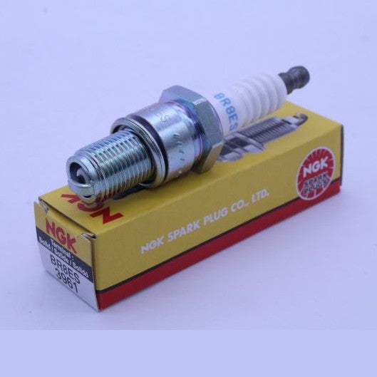 BR8ESS_1697477077.JPG