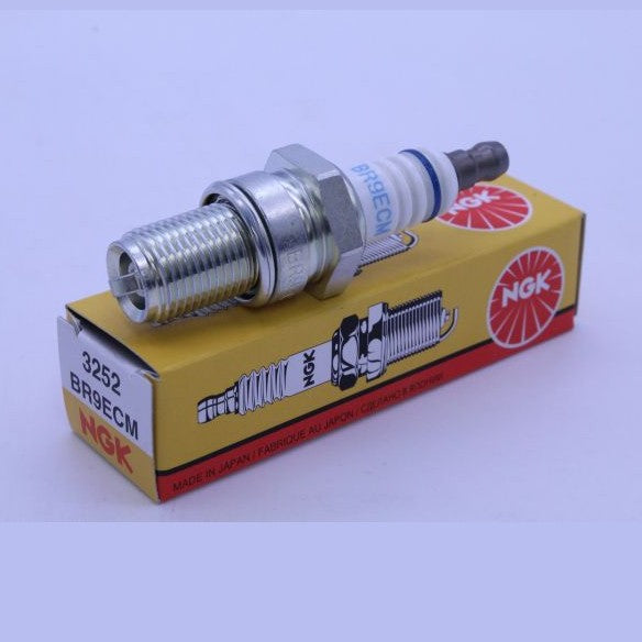 BR9ECM_1697477116.JPG