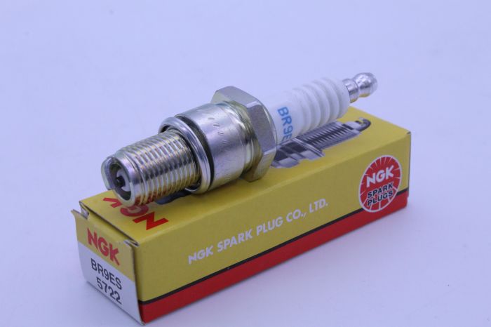 BR9ES_1697477706.JPG