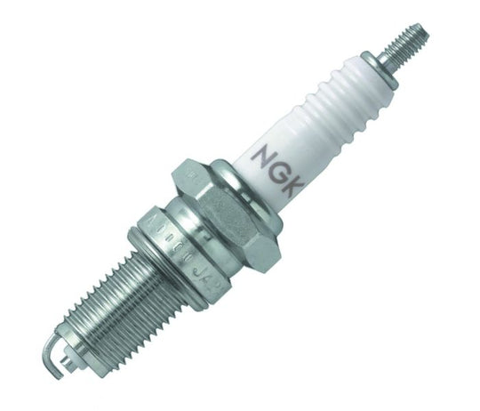 DP8EA-9_1723817600.jpg