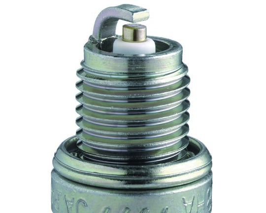 DR8HS_1723735989.jpg
