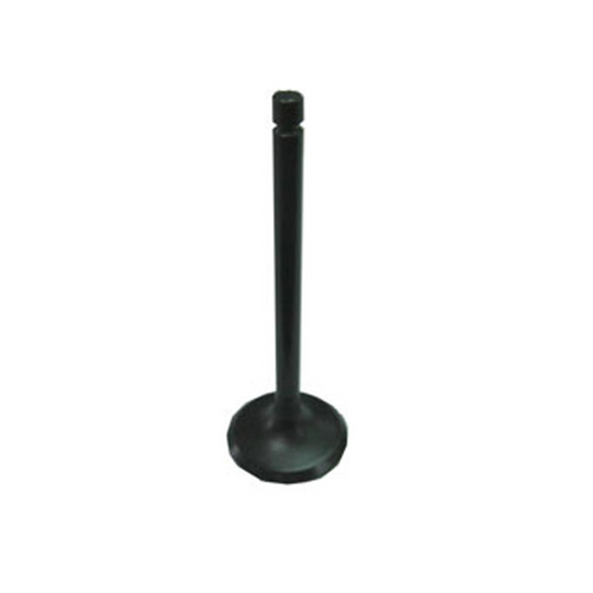 LG0EA8C380-8938-4943-AE1A-57518030D0B9.jpg