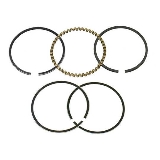 LG2154B40E-F5F9-47C6-A856-71B92A55A895.jpg