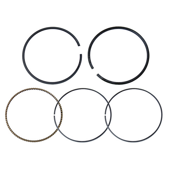 LG584D2870-4358-4CEF-A4EB-45C1E2A9073C.jpg