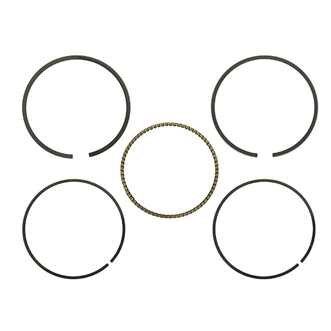 LG598BA9FA-75C2-45C6-BB5E-DFCB7F105691.jpg