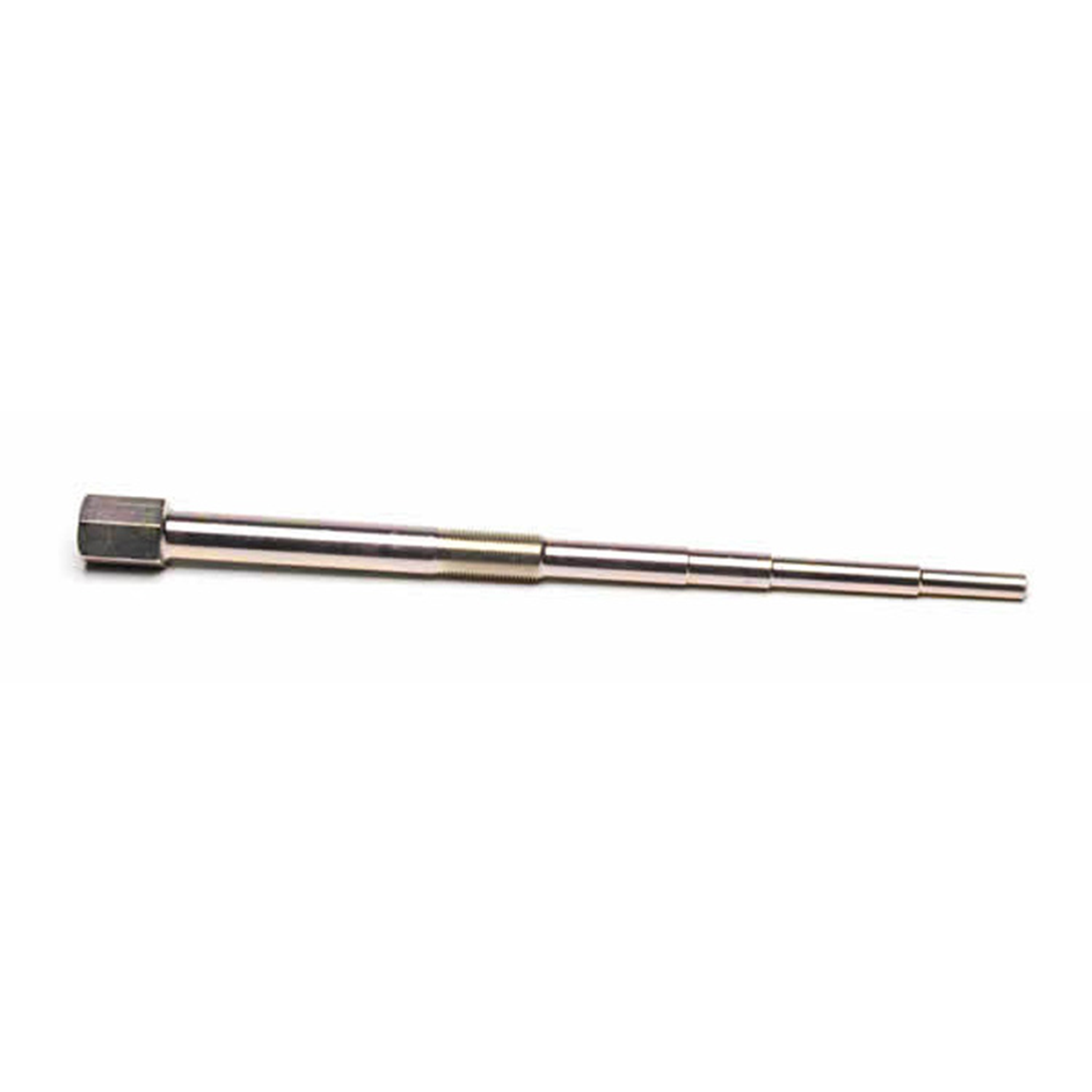 LG898C8083-D001-4C2B-9287-31B3DE225392.jpg