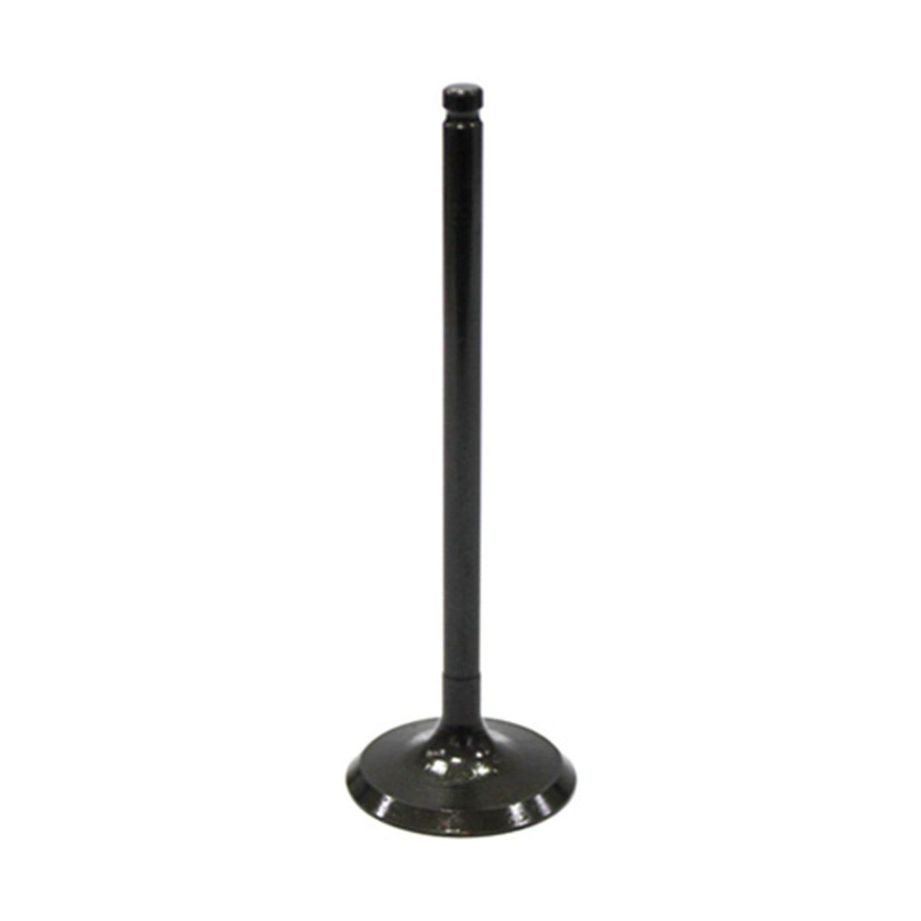 LG95CA075D-4BA2-41EC-BA23-75F161F86C22.jpg