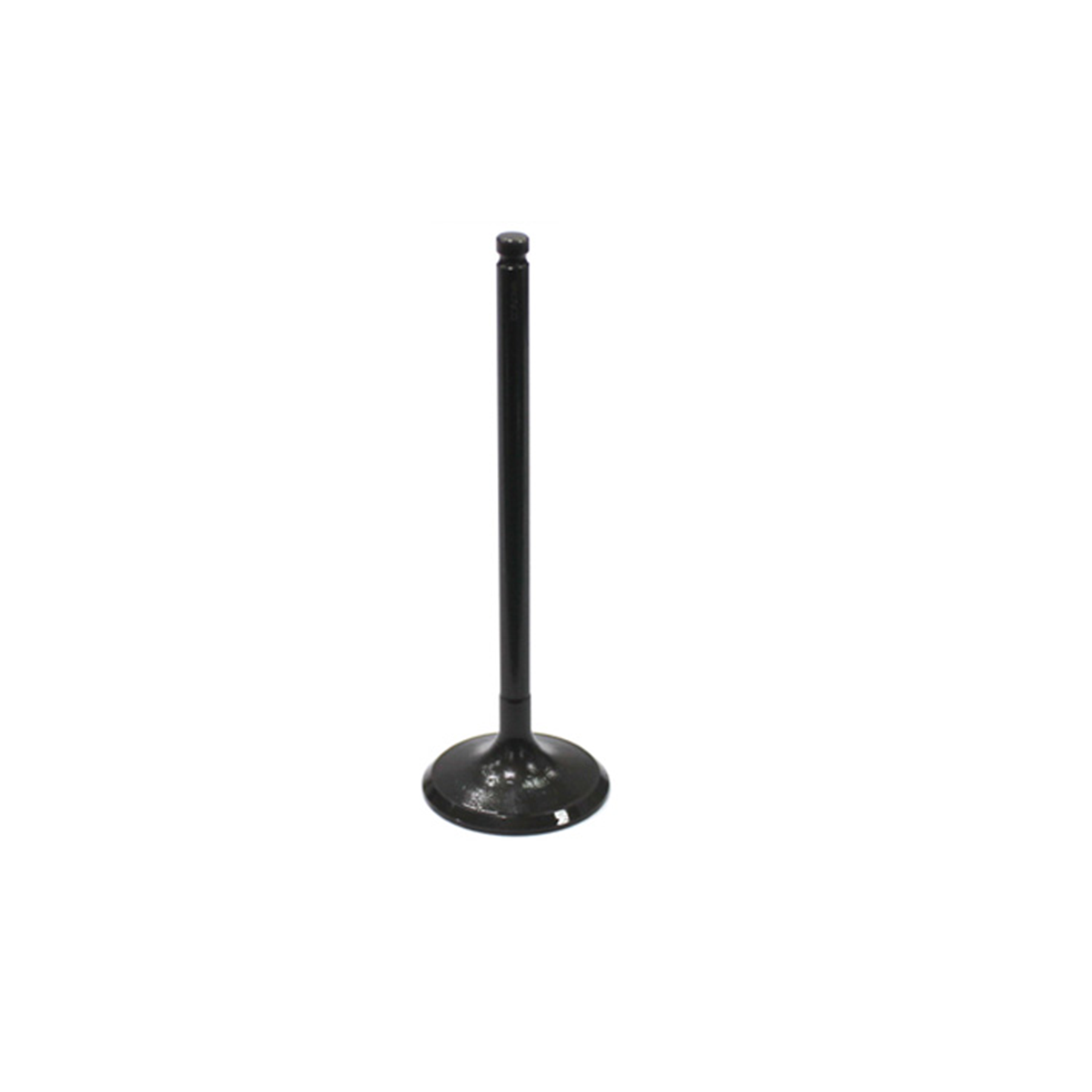 LG9728A012-6509-46A8-A924-B143D86C2E0F.jpg