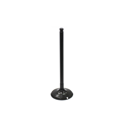 LG9728A012-6509-46A8-A924-B143D86C2E0F.jpg