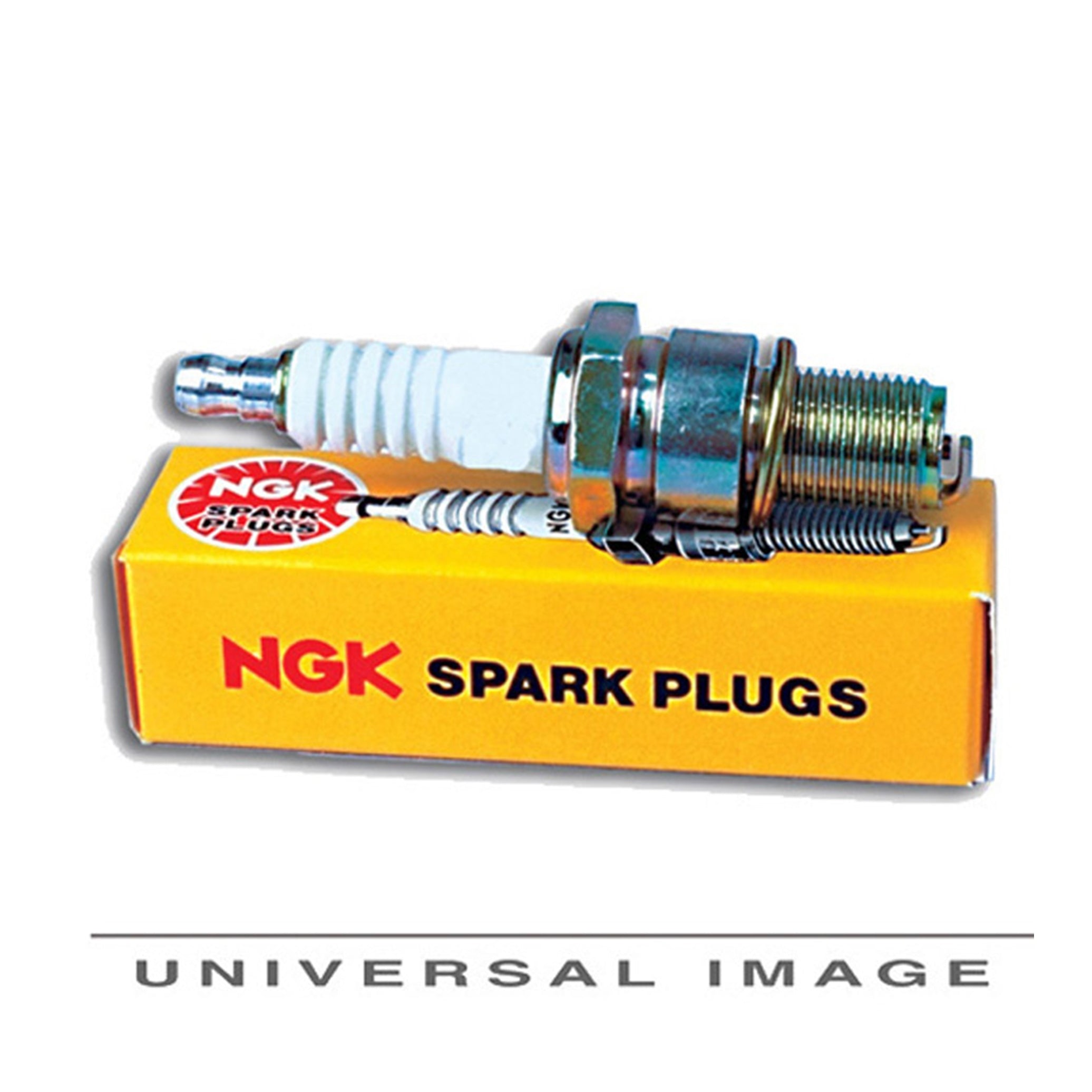 LG995A2B16-0E2E-4F99-ABCC-D2403C23725B.jpg