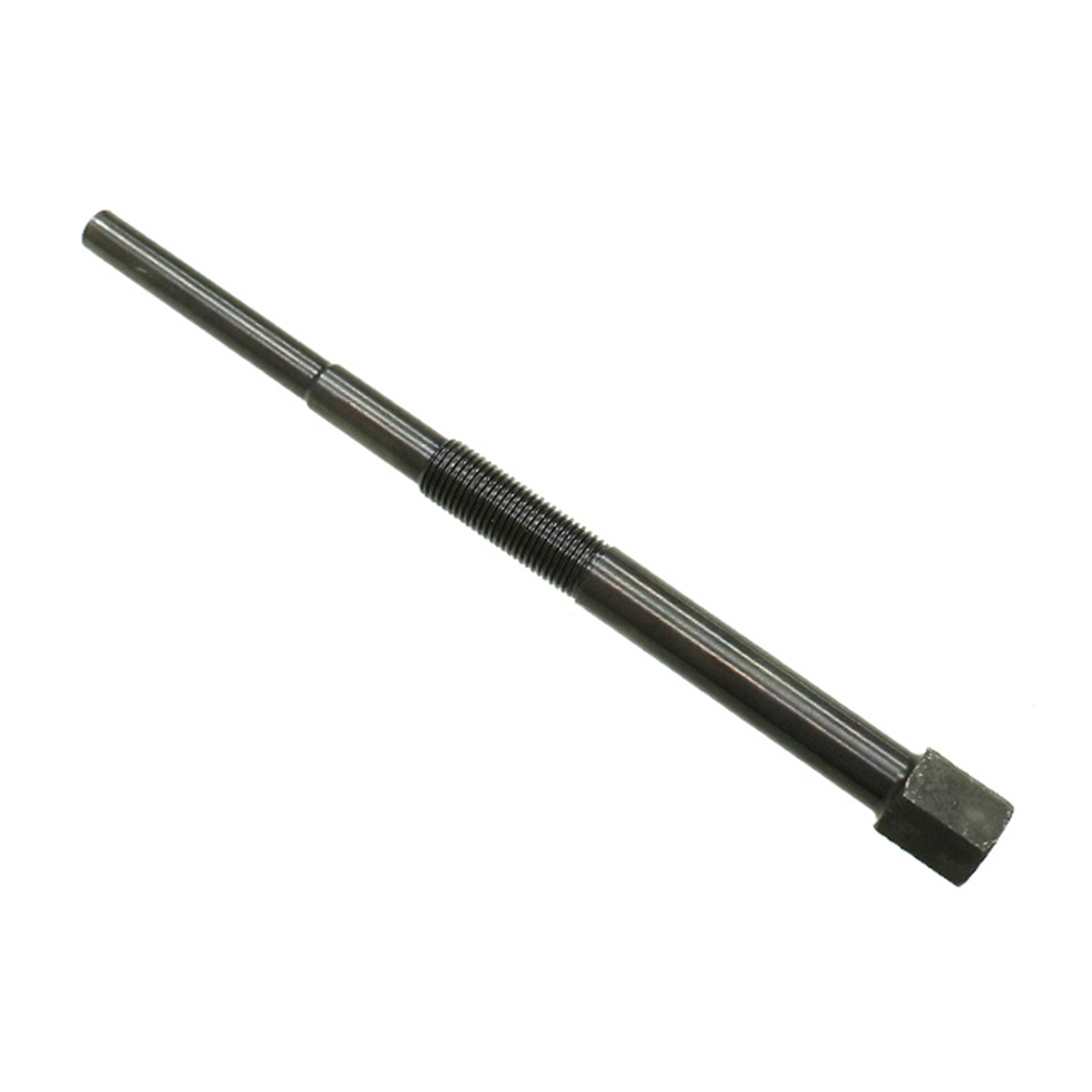 LGE7EF8363-3484-47E2-8DE3-B79A61BB8778.jpg