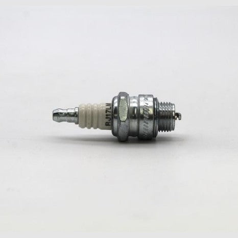 RJ17LM_1717426330.JPG