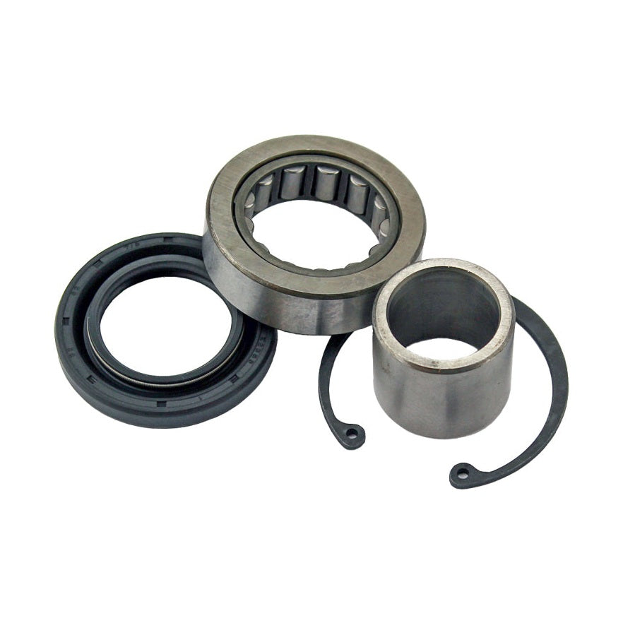 All Balls Racing Harley-Davidson Bearing & Seal Kt OEM style